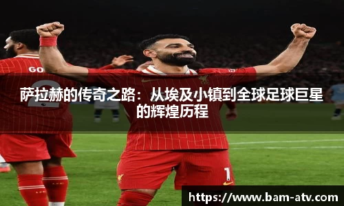 金沙集团1862cc成色官网